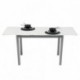 Mesa de cocina extensible PARIS ÓPTICO sobre de cristal blanco PURO y estructura en metal gris 110/170x70cm