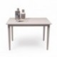 Conjunto de comedor KANSAS & DALLAS GRAY mesa 112x72 cm y 4 sillas de comedor color gris