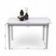 Conjunto de comedor KANSAS & DALLAS WHITE mesa 112x72 cm. y 4 sillas de comedor color blanco