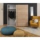 Armario de 2 puertas correderas WINTER acabado laminado sintético blanco o roble sonoma con franja blanca o roble 200x62x210 cm